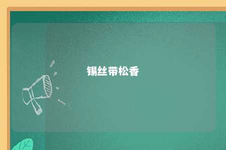 锡丝带松香