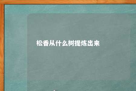 松香从什么树提炼出来