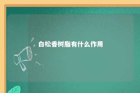 白松香树脂有什么作用