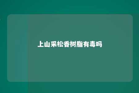 上山采松香树脂有毒吗