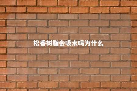 松香树脂会吸水吗为什么