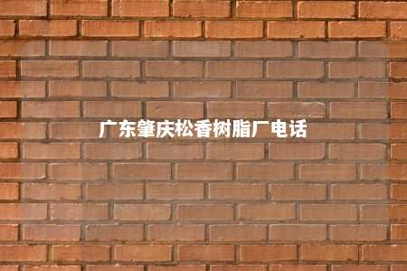 广东肇庆松香树脂厂电话