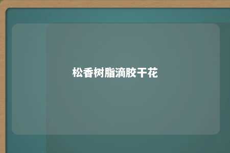 松香树脂滴胶干花