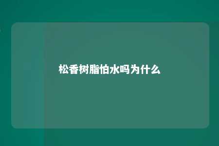 松香树脂怕水吗为什么