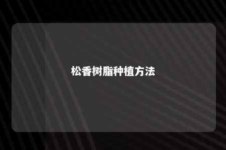松香树脂种植方法