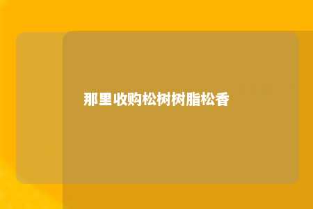 那里收购松树树脂松香