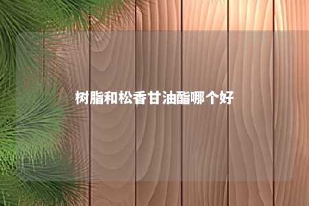 树脂和松香甘油酯哪个好