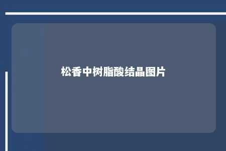 松香中树脂酸结晶图片