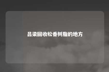 吕梁回收松香树脂的地方
