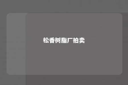 松香树脂厂拍卖