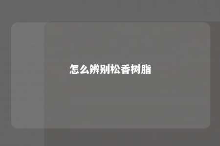 怎么辨别松香树脂