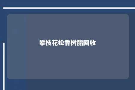 攀枝花松香树脂回收
