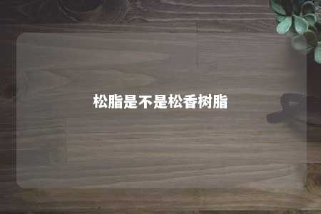 松脂是不是松香树脂