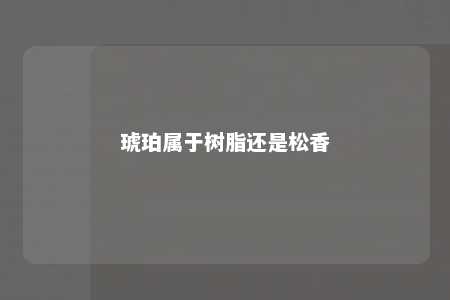 琥珀属于树脂还是松香
