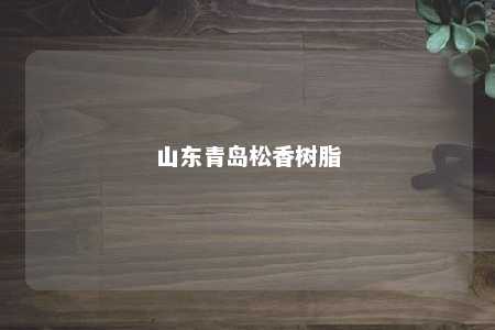 山东青岛松香树脂