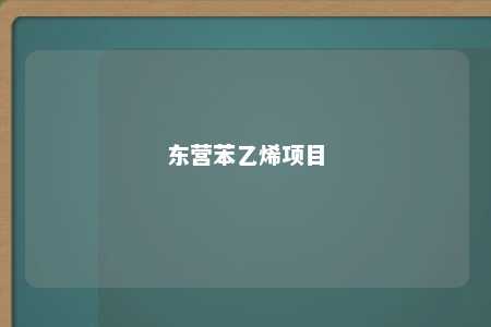 东营苯乙烯项目