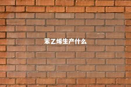 苯乙烯生产什么