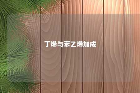 丁烯与苯乙烯加成