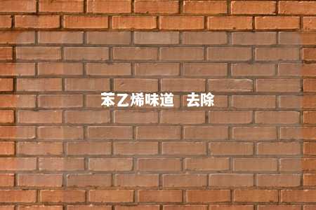 苯乙烯味道  去除