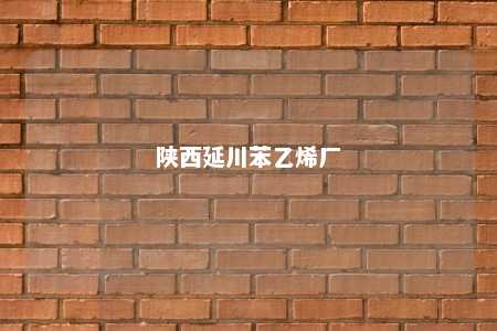 陕西延川苯乙烯厂