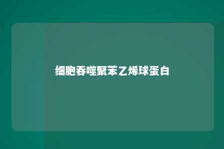 细胞吞噬聚苯乙烯球蛋白