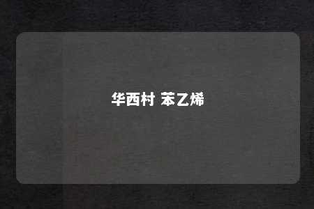 华西村 苯乙烯