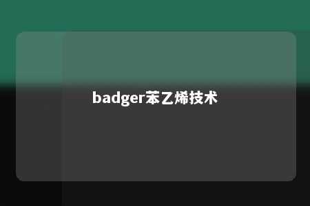 badger苯乙烯技术