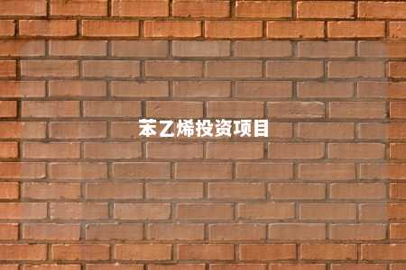 苯乙烯投资项目