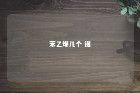 苯乙烯几个 键