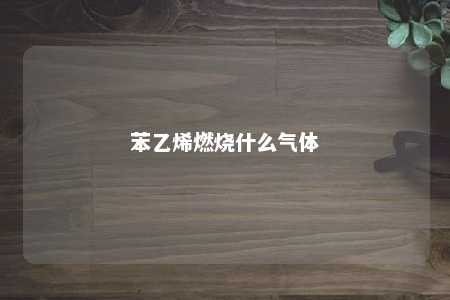 苯乙烯燃烧什么气体