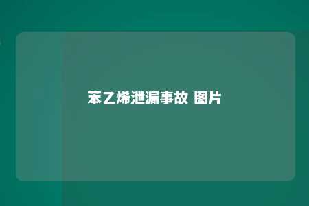 苯乙烯泄漏事故 图片
