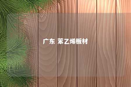 广东 苯乙烯板材