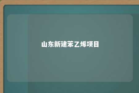 山东新建苯乙烯项目