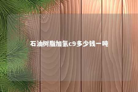 石油树脂加氢c9多少钱一吨