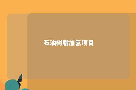 石油树脂加氢项目