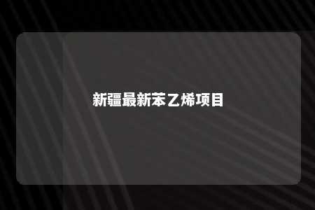 新疆最新苯乙烯项目