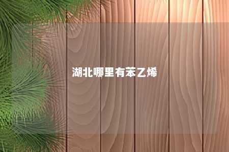 湖北哪里有苯乙烯