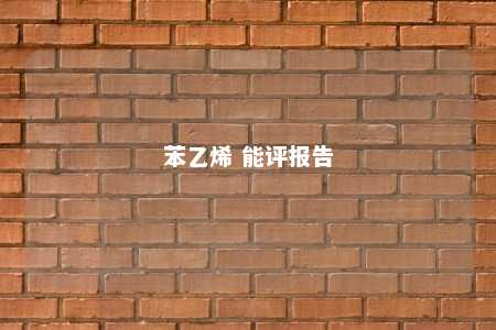 苯乙烯 能评报告