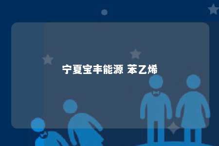 宁夏宝丰能源 苯乙烯
