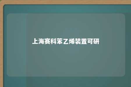 上海赛科苯乙烯装置可研