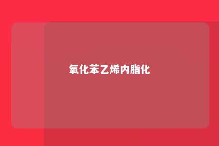 氧化苯乙烯内脂化