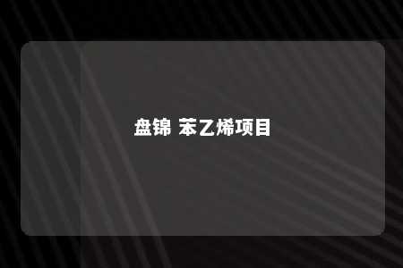 盘锦 苯乙烯项目