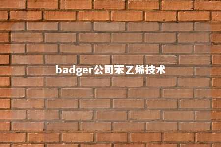 badger公司苯乙烯技术
