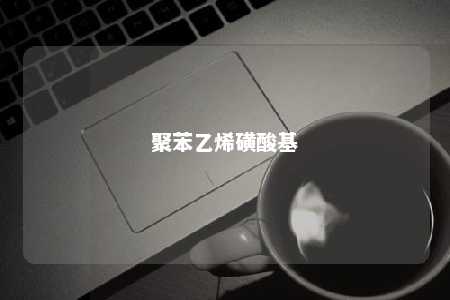 聚苯乙烯磺酸基