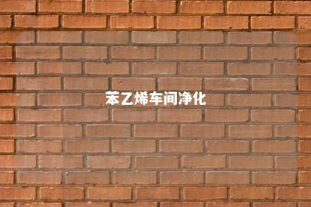 苯乙烯车间净化