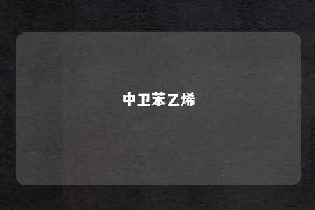 中卫苯乙烯