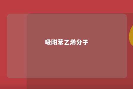 吸附苯乙烯分子