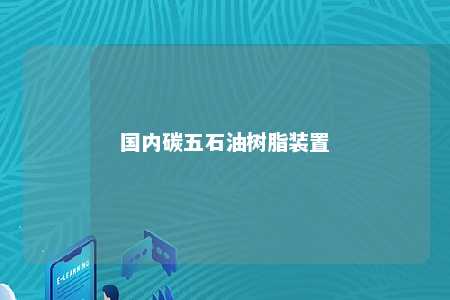 国内碳五石油树脂装置