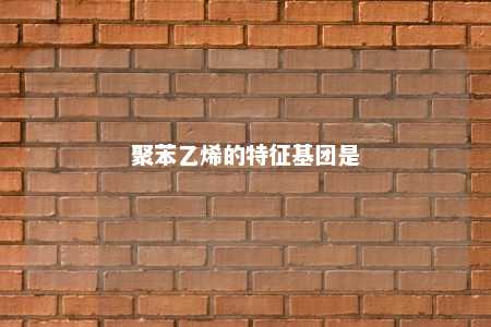聚苯乙烯的特征基团是