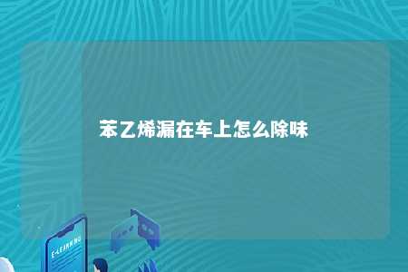 苯乙烯漏在车上怎么除味